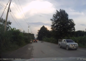 ฝูงสุนัขทำชนท้ายเจ็บ ระยอง