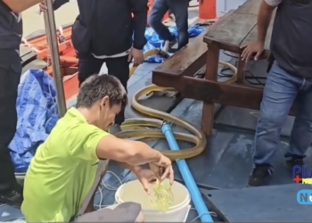 รวบสทระยองค้าน้ำมันเถื่อน