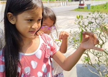 นาทีหนอนกลายเป็นผีเสื้อเด็กๆตื่นตาเห็นจังๆ