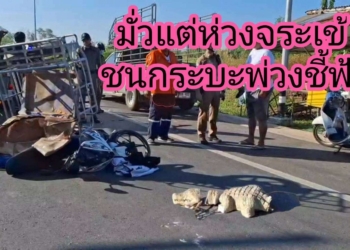 ห่วงแต่จระเข้ไม่มองทาง