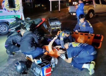 เมาล่าเสือหนักไปจนจำไม่ได้