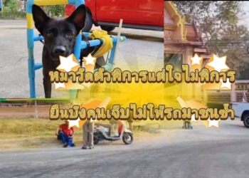 ระยอง ลืมตัวว่าพิการขอปกป้องคนเจ็บก่อน