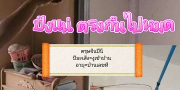 ระยอง รับตรุษ จีนรับปีมะเส็งงูเข้าบ้าน