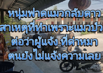 ระยอง ฟาดแมวจนตายโมโหไม่ขายเหล้าวันมาฆบูชา