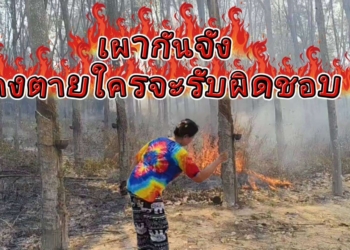 ระยอง พรานผึ้งทำสงสัยไฟไหม้ป่า