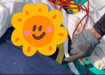 พบศพกลางทะเล