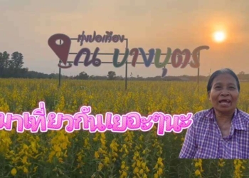 ระยอง คลายร้อนที่ทุ่งปอเทือง