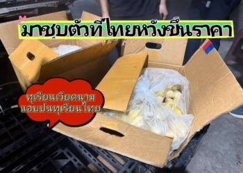 ระยอง จุดเริ่มต้นหายนะทุเรียนไทย