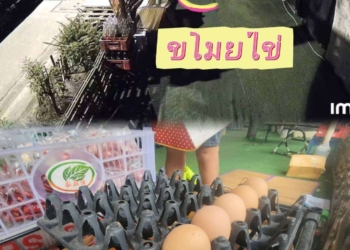 ขโมยไข่ไปอร่อยกลับมาจ่ายด้วย