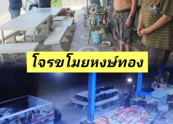 ระยอง กล้องจับห่างแค่คืบฉกหงษ์เป็นลัง