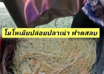 ระยอง อิทธิฤทธิ์หม้อฉุนเมียปล่อยให้ปลาเน่า