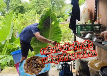 ระยอง กล้วยทอดหน้ากากใบบอนสุดอร่อย