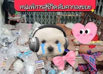 ระยอง หนุ่มพิการสู้ชีวิตดับคากองขยะ