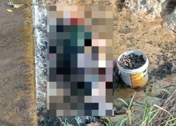 ระยอง ลื่นดับคาหอย