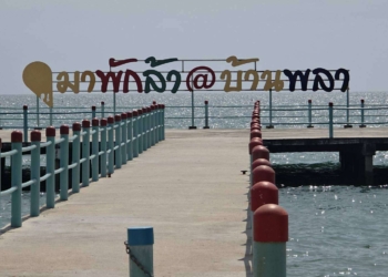 ระยอง ฉลามวาฬโผล่ทักที่หาดพลา