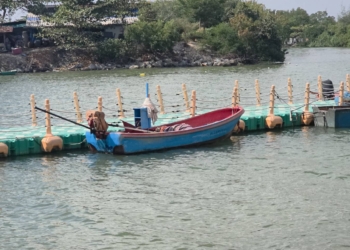 ระยอง ประมงหวั่นน้ำทะเลท่วมโลก