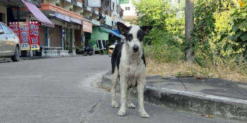 ระยอง หมั่นไส้ความรักจนได้ชื่อ