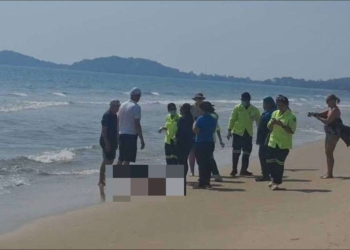 ระยอง สวีเดนดับกลางหาดแหลมแม่พิมพ์