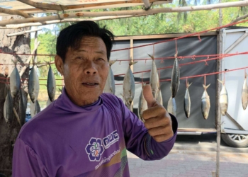 ระยอง ปลาทูหอมหมุนติ้วทีเด็ดตากวน