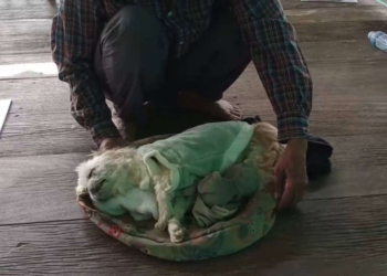 ระยอง ฝังทั้งน้ำตาสังเวยพลุปีใหม่