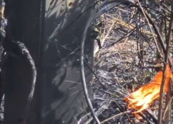 ระยอง ระทึกสายไฟแรงสูงขาดไฟลุกพรึบ