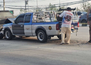 ระยอง ลางสังหรณ์ปาดทีเดียวชนระนาว