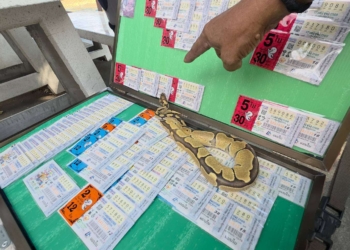 ระยอง เจ้าพ่อเจ้าแม่หลบไปจูจู้มาให้โชค