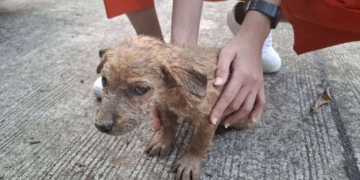 ระยอง เวทนาหัวใจแม่เฝ้าไม่ห่าง