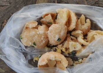 ระยอง ไข่หงส์มหาอุตม์