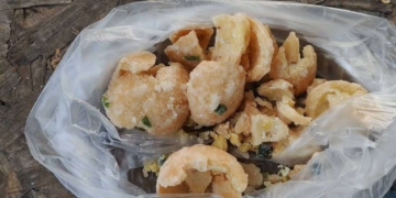 ระยอง ไข่หงส์มหาอุตม์