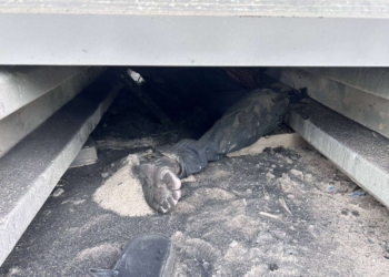 10 ตันหลุดทับดับสลด