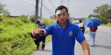 ระยอง ตัวตึง แห่งพงหญ้าเป็นเหตุคว่ำ