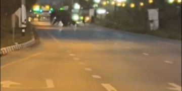 ปิดถนนให้ช้างข้าม