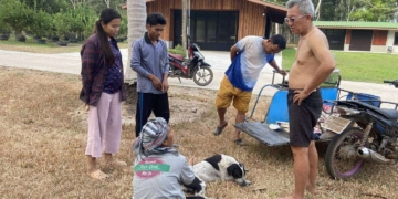 ระยอง ยิงหมาดับแต่เช้าตรู่วันเลือกตั้ง