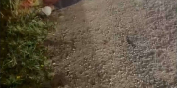 ระยอง เมาแล้วห้าว ให้กล้วยถูกชน