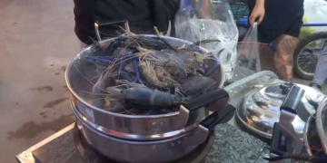 ​ระยอง ตักกุ้งร้อยเดียว เคี้ยวมัน​ฮือฮา! ไอเดียแม่ค้าแกลง “ตักกุ้งแม่น้ำ” ตักละร้อย ตัดได้เท่าไหร่เอาไปเลยตักหมดถังก็ยังได้ถ้าทำได้ แถมบริการนึ่งฟรี ลูกค้าแห่คิวแน่นตลาดปั๊มใต๋​