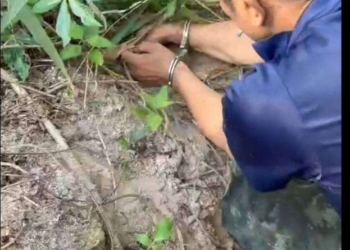 ระยอง ​ปิดคลองไล่ล่าเอเย่นต์