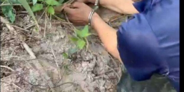 ระยอง ​ปิดคลองไล่ล่าเอเย่นต์