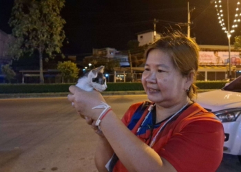 ระยอง ระทึกช่วยแมวตกท่อ​​งานป้องกันแกลงลุยสกัดฝาท่อ ช่วยลูกแมวรอดปาฏิหาริย์ ชาวบ้านใจดีรับเลี้ยงตั้งชื่อ “เจ้ามีโชค”​