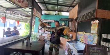 ระยอง เห้เข้ามากินแมวส่องเลขเด็ด