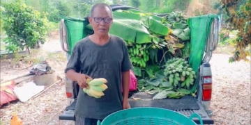 กล้วยก็อยากได้หวีละ100