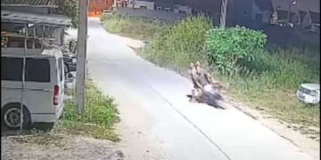 ระยอง หมาคู่ป่วนไล่เมียนมาคว่ำสาม