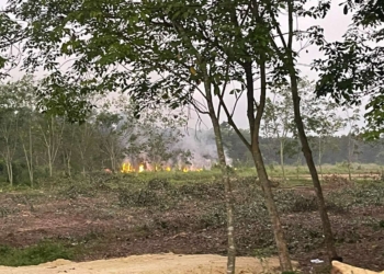 ​ ระยอง เผา หญ้าทำกินสิ้นหนทาง