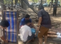 ระยอง ต้นสนหักเสียบทะลุร่างฝรั่ง
