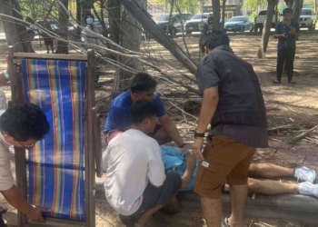 ระยอง ​ ต้นสนหักเสียบทะลุร่างฝรั่ง