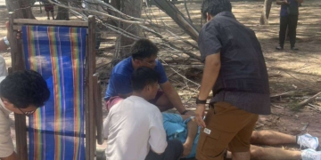 ระยอง ​ ต้นสนหักเสียบทะลุร่างฝรั่ง
