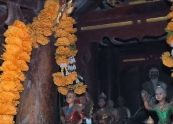 ระยอง ขนลุกไทรให้โชคตรงทะเบียน
