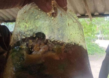 ระยอง ลางสังหรณ์แกงเผ็ดหมูช่วยพี่ชาย