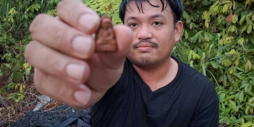 ระยอง กระบะดิ่งคลองรอดปาฏิหาริย์