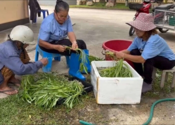 ระยอง เด็ดผักบุ้งเข้าวัดทำบุญ​